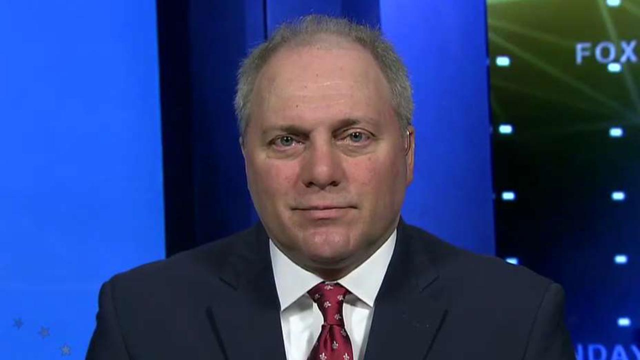 Steve Scalise on negotiations to end partial government shutdown