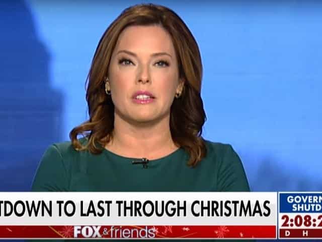 WH Spox Schlapp: 'Our Goal Is to Get Somewhere Between 1.6 and 5 Billion' for Wall