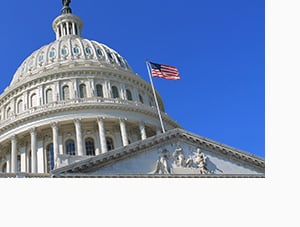 American Appetite for Government