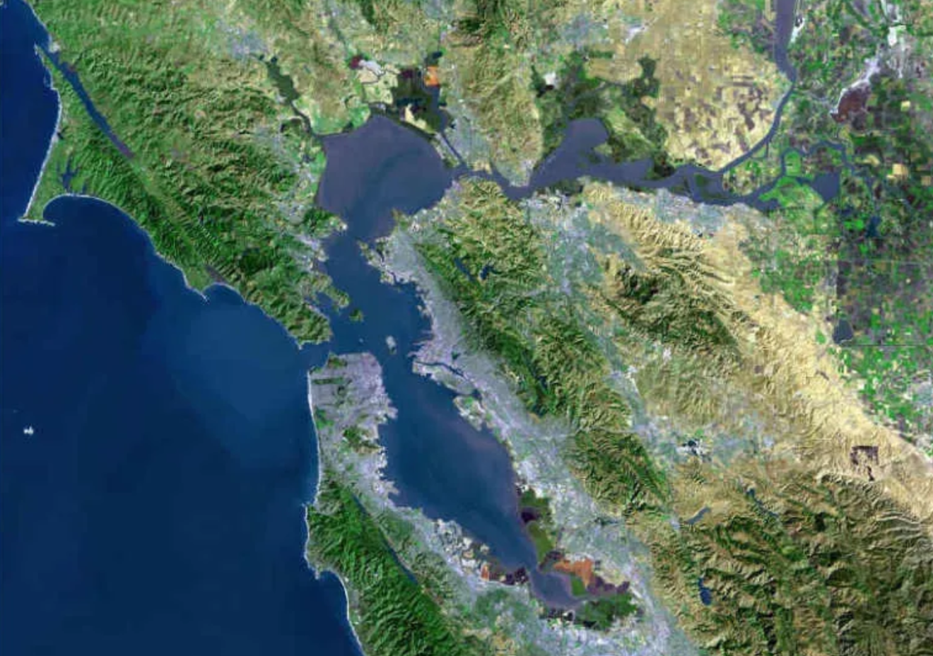 sf-metro-stem